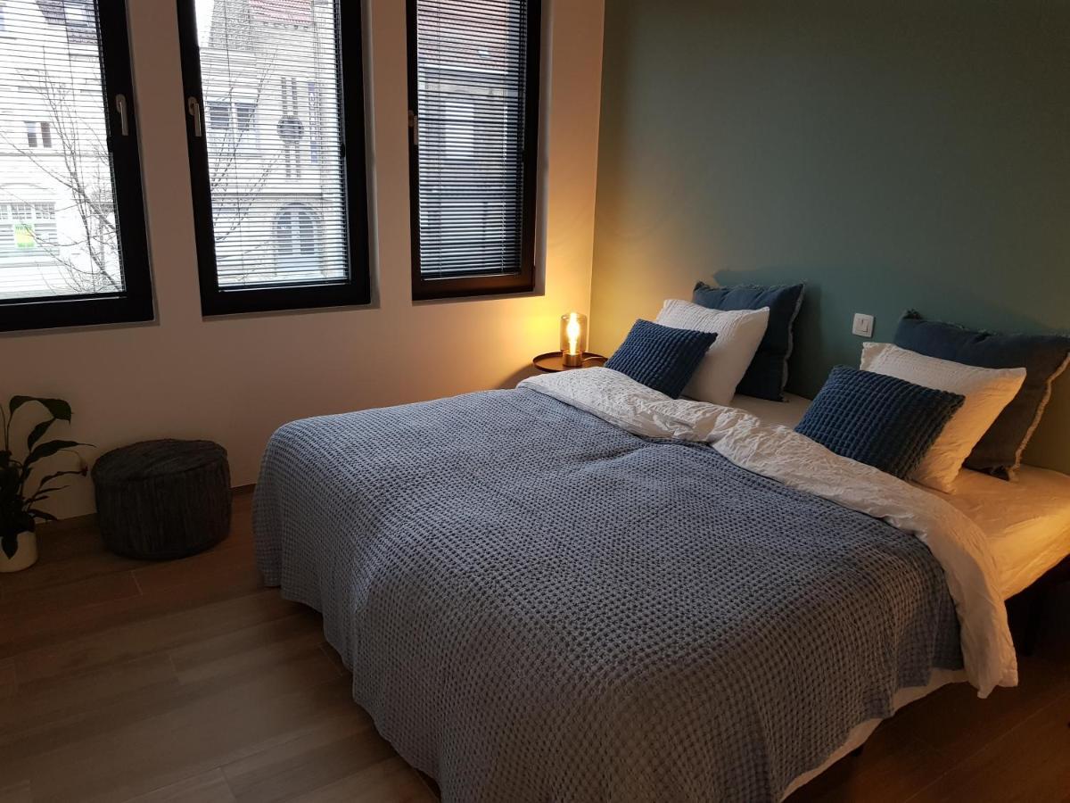 דיקסמאודה Vakantiewoning Ijzerfront 14-18 מראה חיצוני תמונה